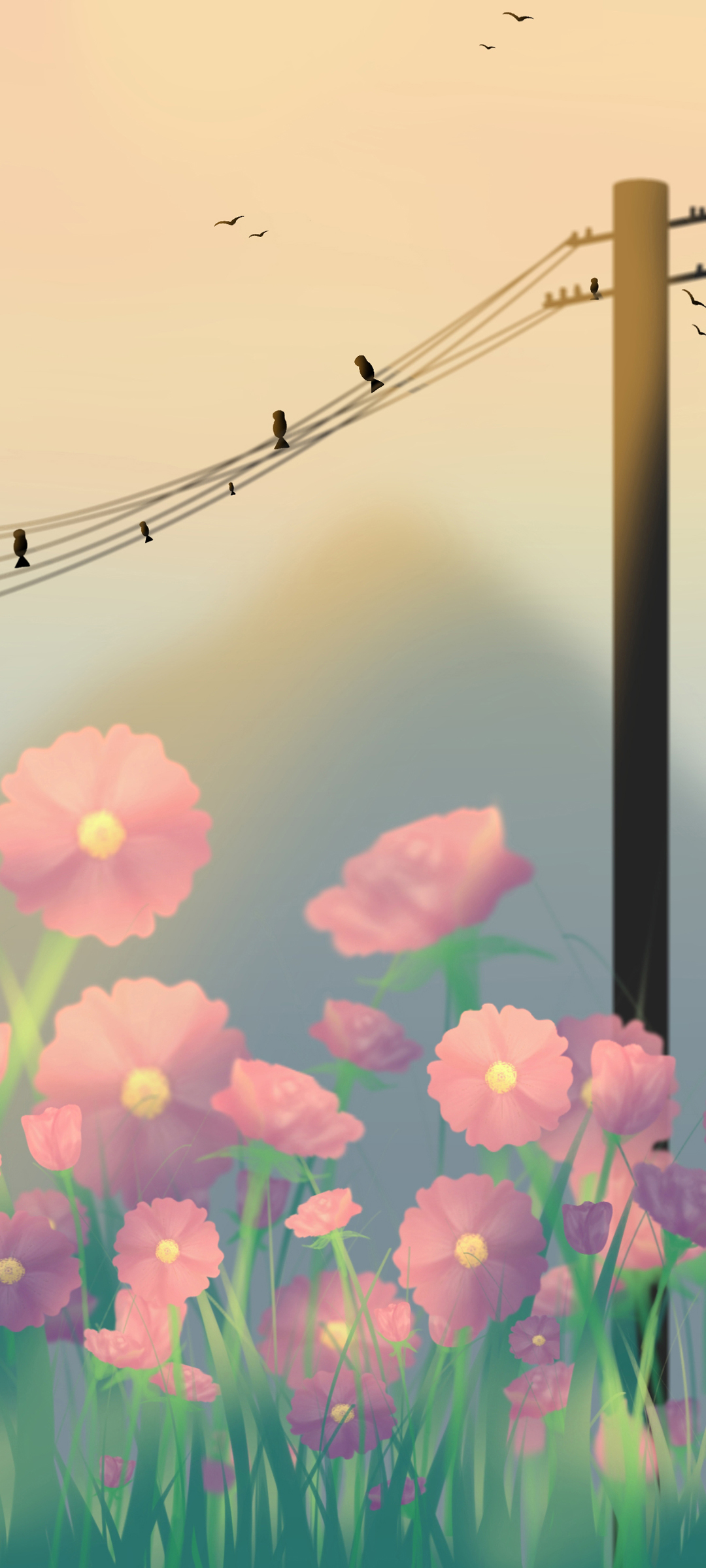 日落西山美景赏，小C原创高清壁纸，免费下载小清新风光