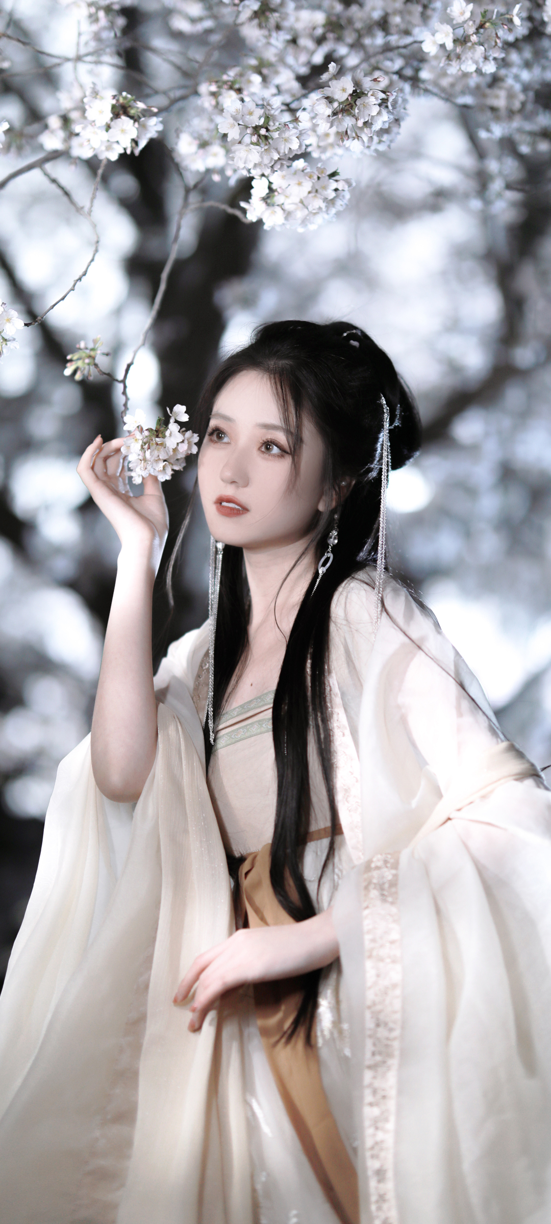 古风美女赏梅图，唯美梅花壁纸，免费手机下载