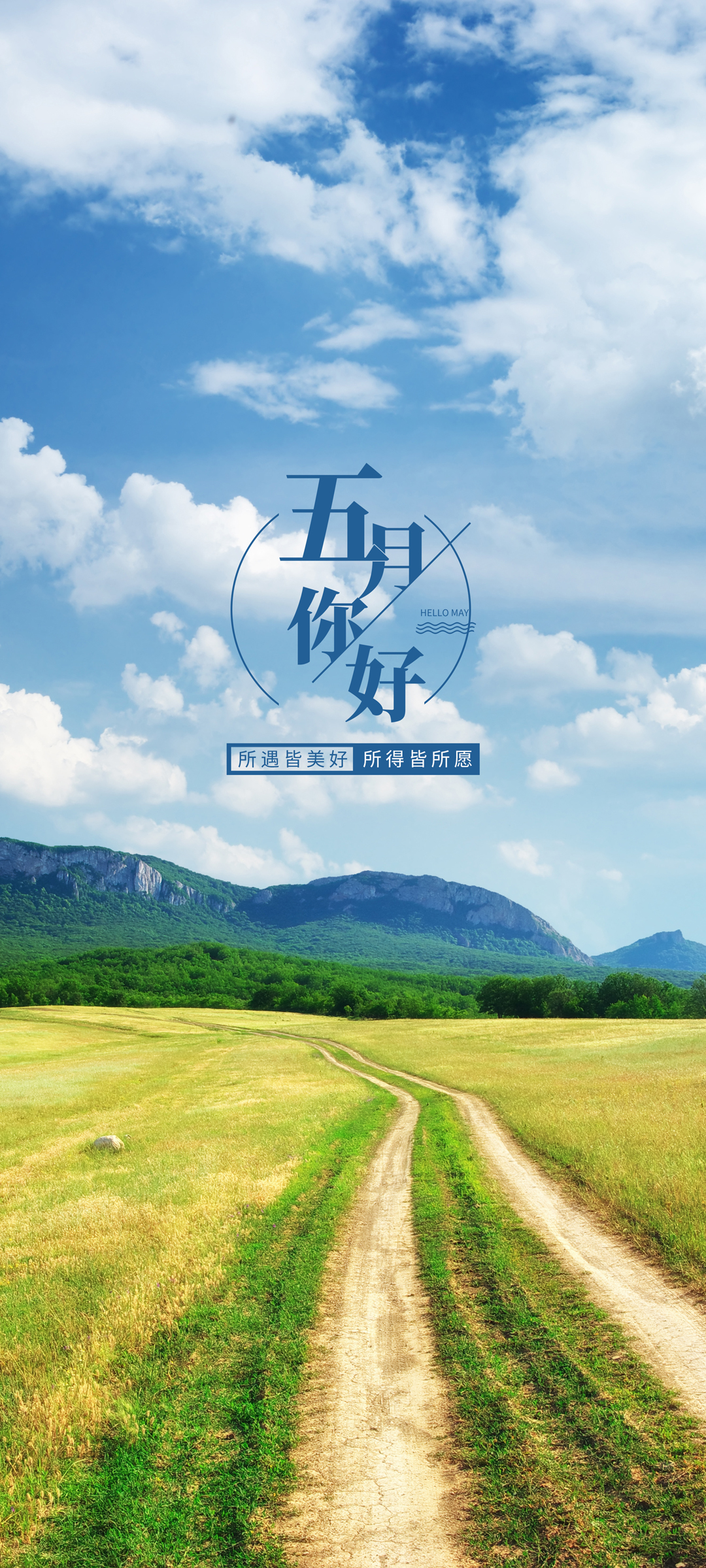 五月绽放，精选高清手机壁纸，免费下载，美景尽在指尖