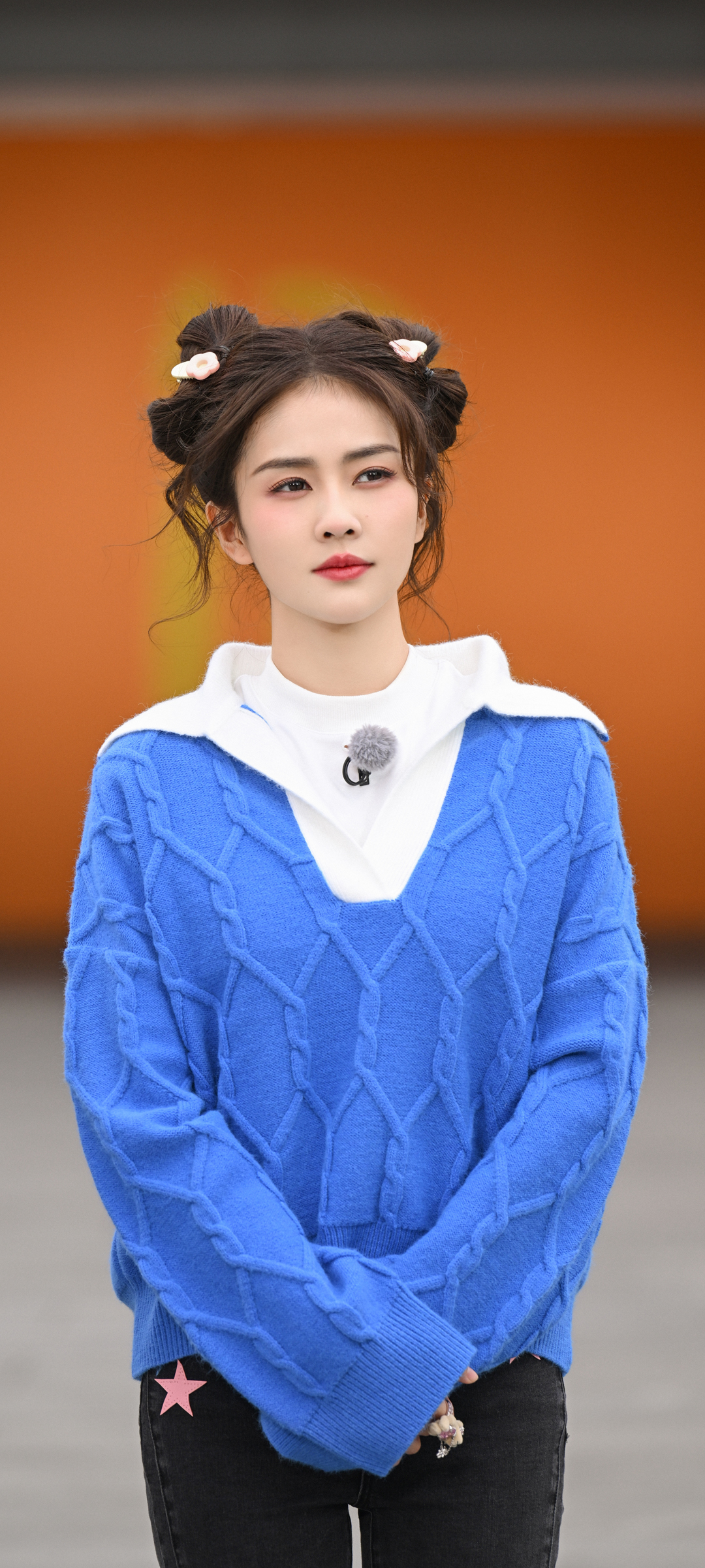 白鹿美女蓝色毛衣主题手机壁纸，免费下载精选高清美图