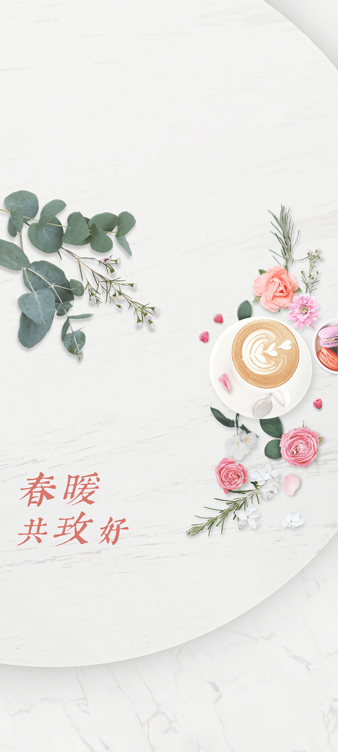 女神节特惠，清新简约鲜花壁纸，手机美化免费下载