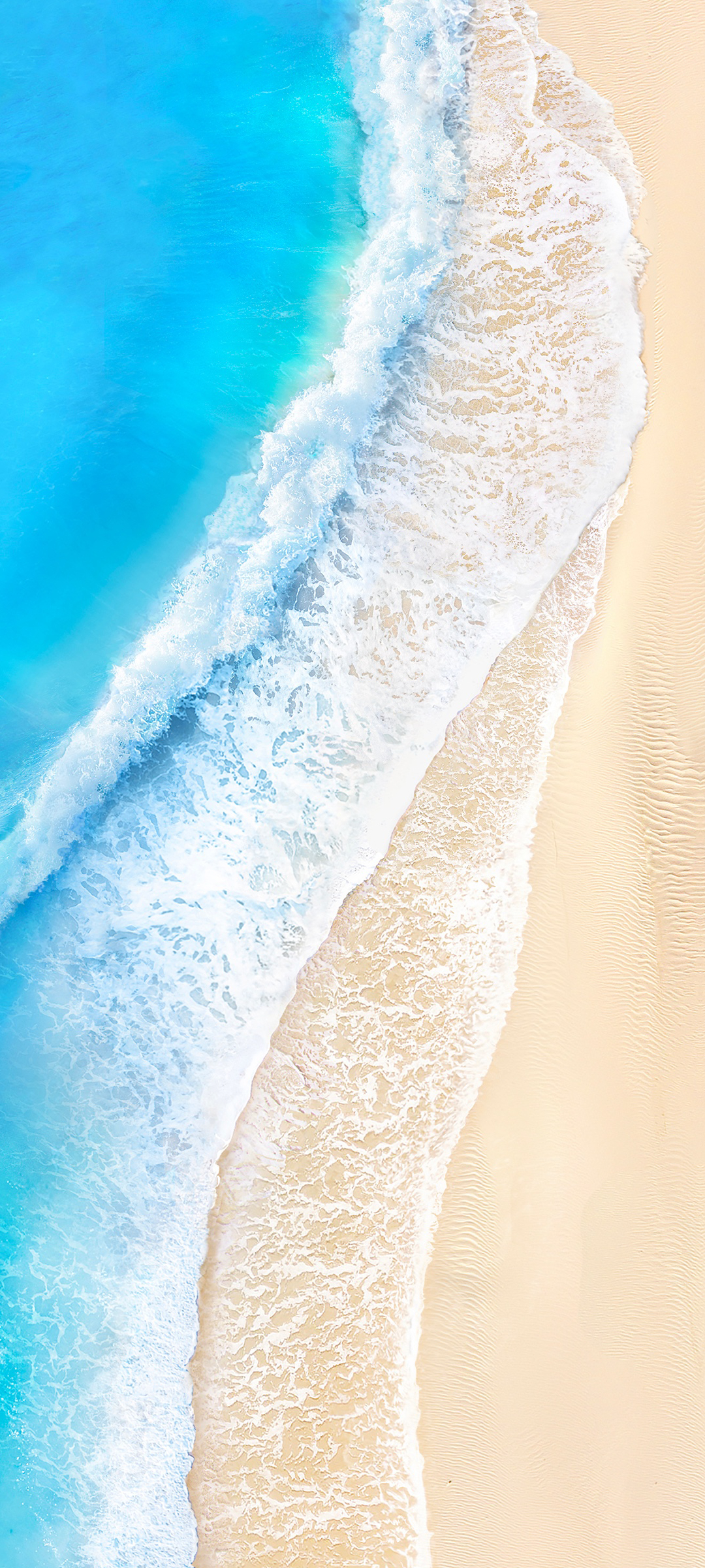vivo S12系列，畅享海洋美景，免费下载高清手机壁纸