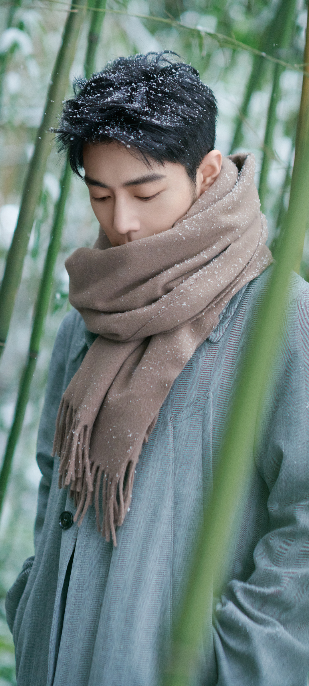 肖战高清手机壁纸，竹林雪景帅哥，围巾点缀，免费下载