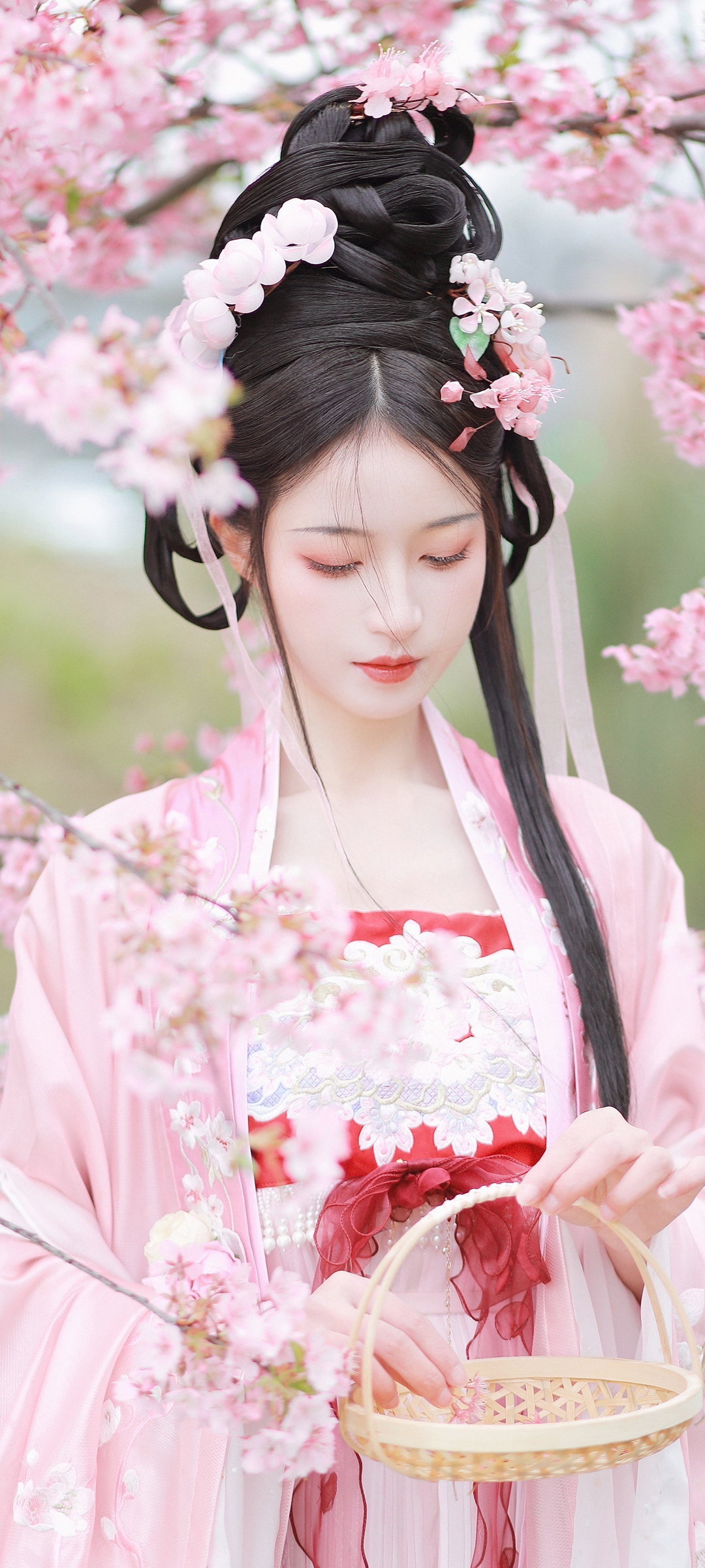 古装美女赏樱图，唯美古风手机桌面壁纸，免费下载