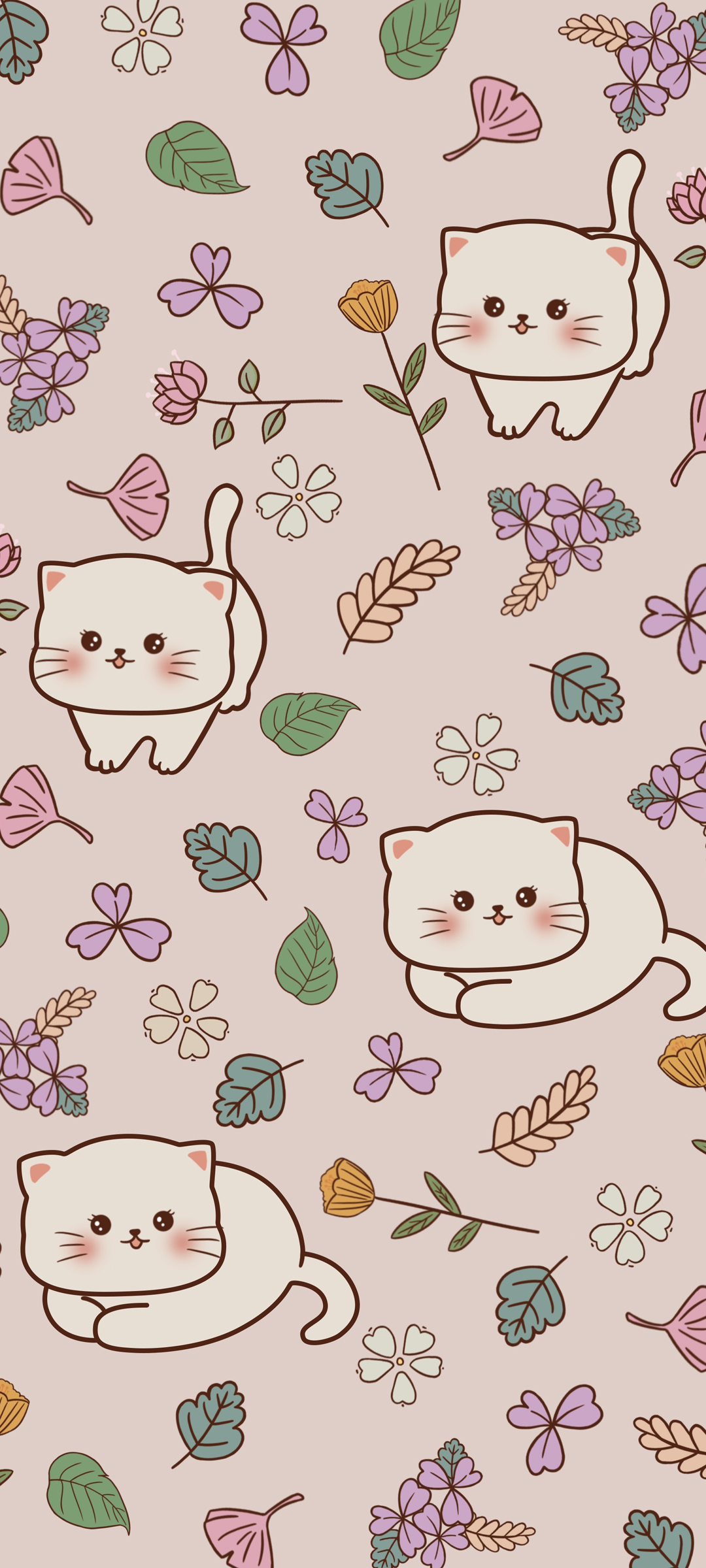 女生专属，萌猫花语全屏手机壁纸，免费下载畅享美丽新视界