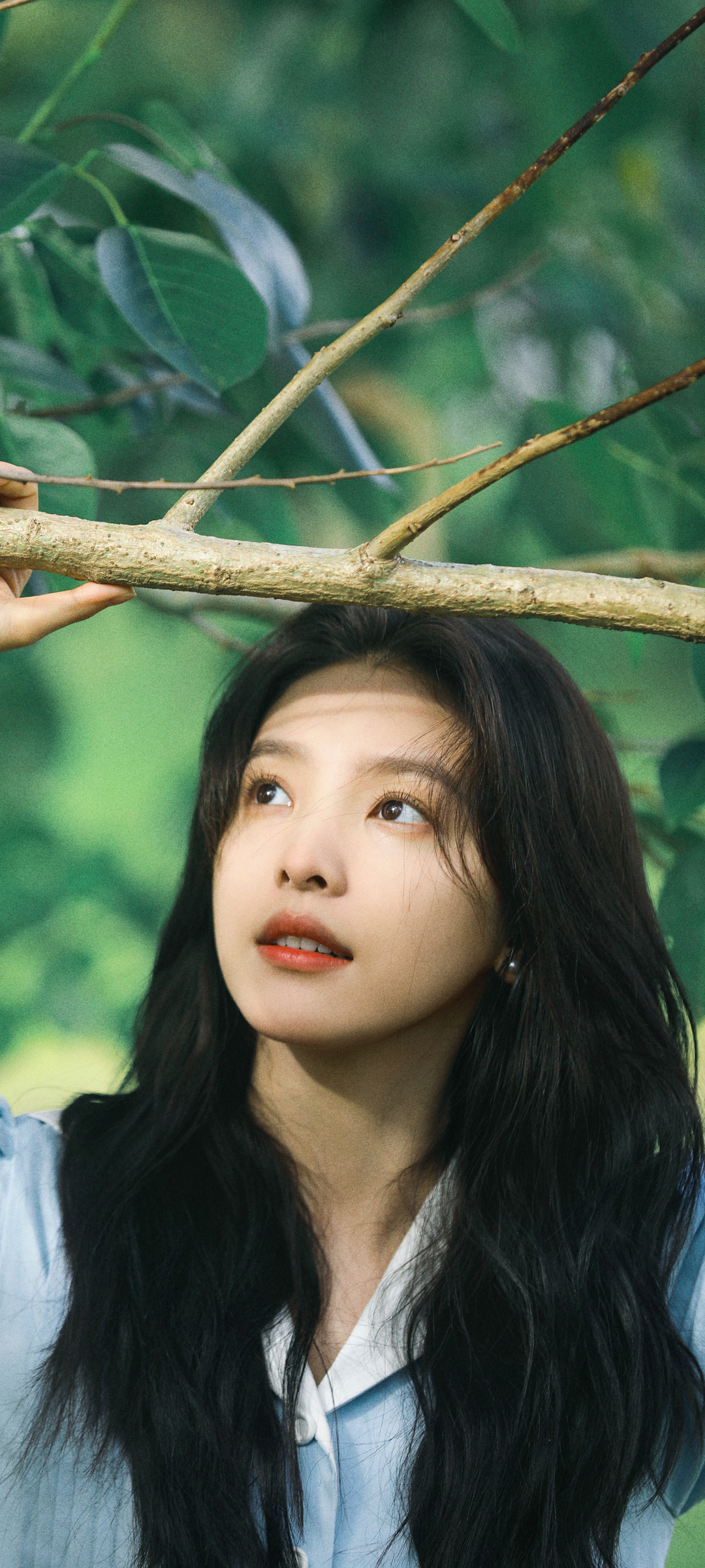 章若楠森系美女，精选手机壁纸免费下载
