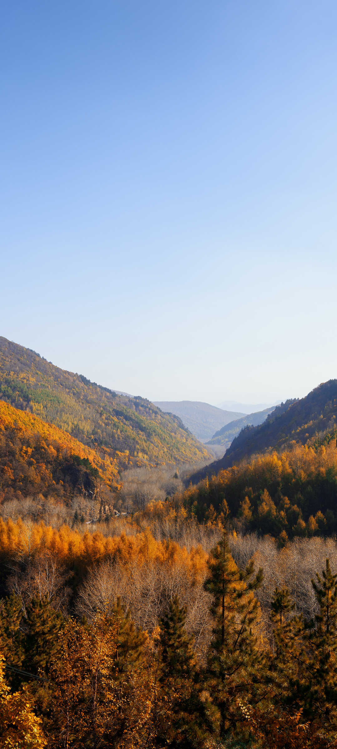 秋日大山风光，唯美手机壁纸免费下载