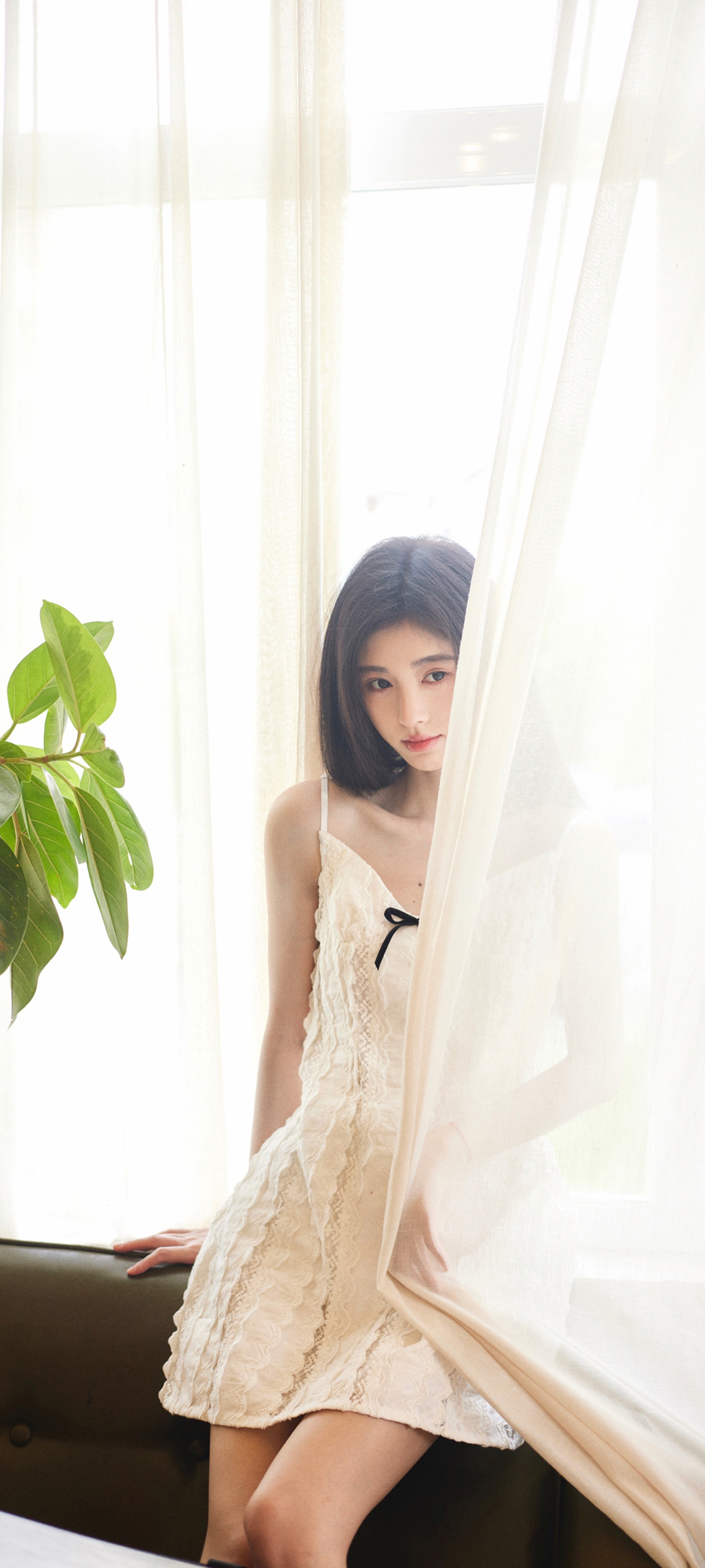 鞠婧祎清新风手机壁纸，美女美图免费下载