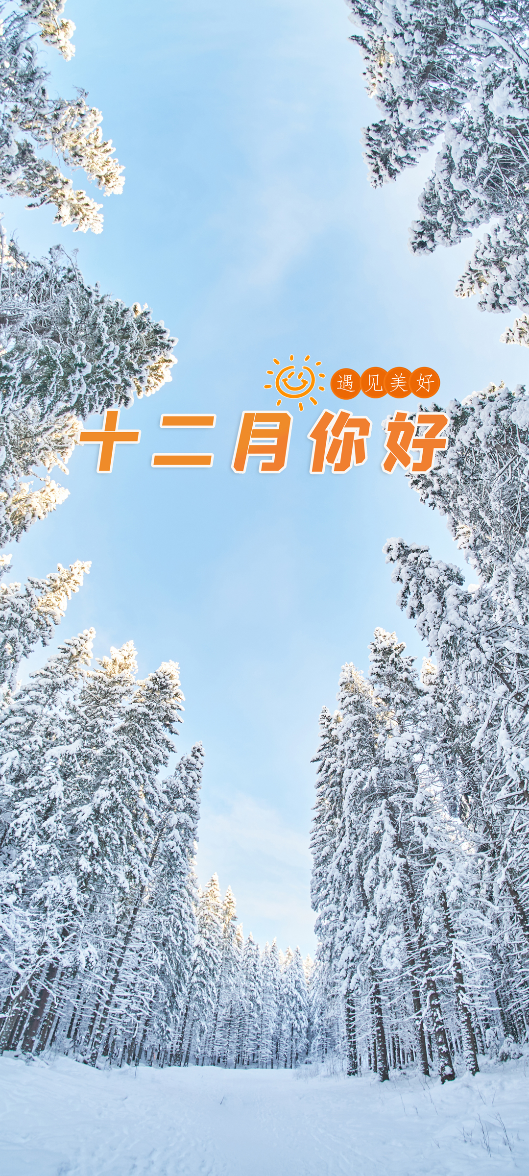 十二月冬韵，雪景树林风光手机壁纸，免费下载欣赏自然美景