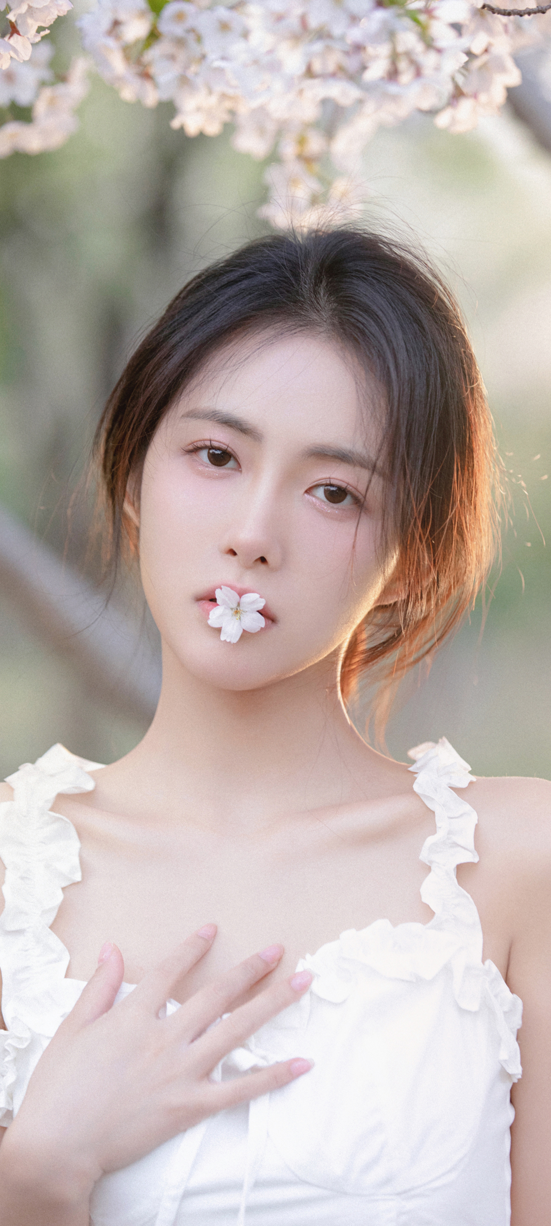 樱花下的林晚儿，绝美手机壁纸免费下载