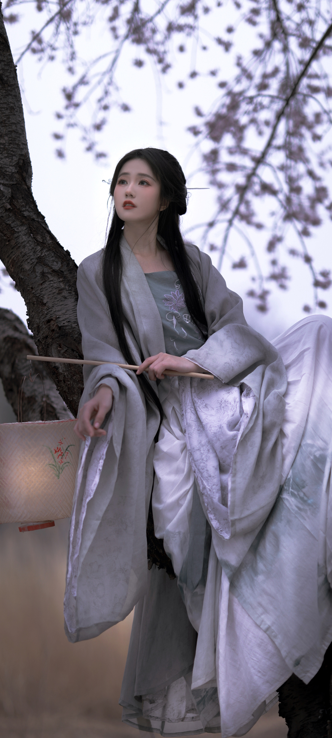 古装美女坐树间，唯美壁纸免费下载，手机美化新选择