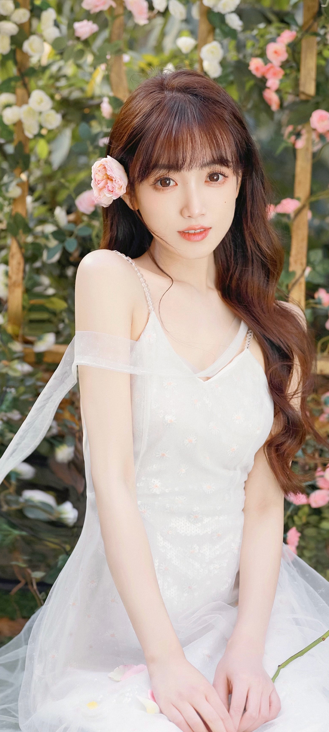 美女白裙倩影，高清花卉手机壁纸，免费下载欣赏