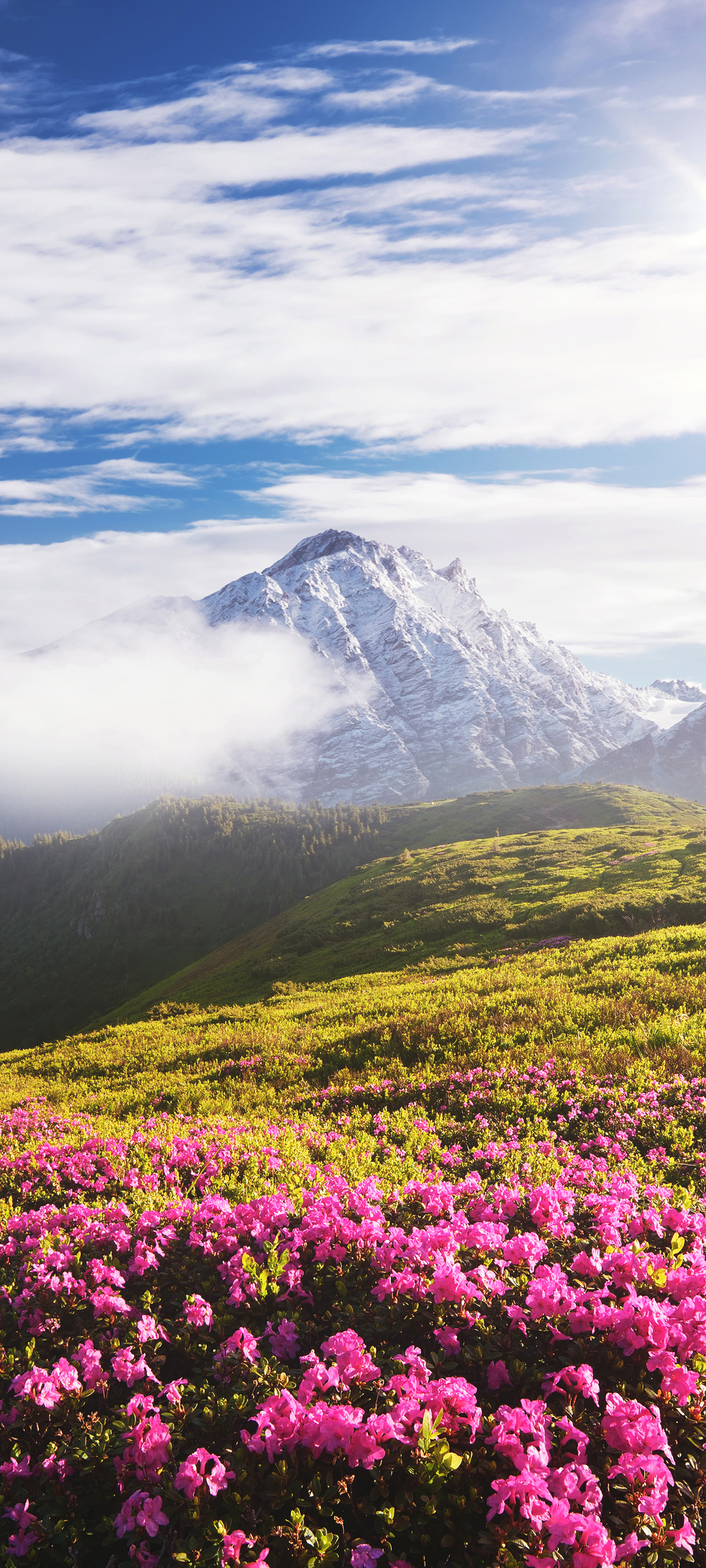 绝美自然风光，天空、高山、鲜花，免费手机桌面壁纸下载