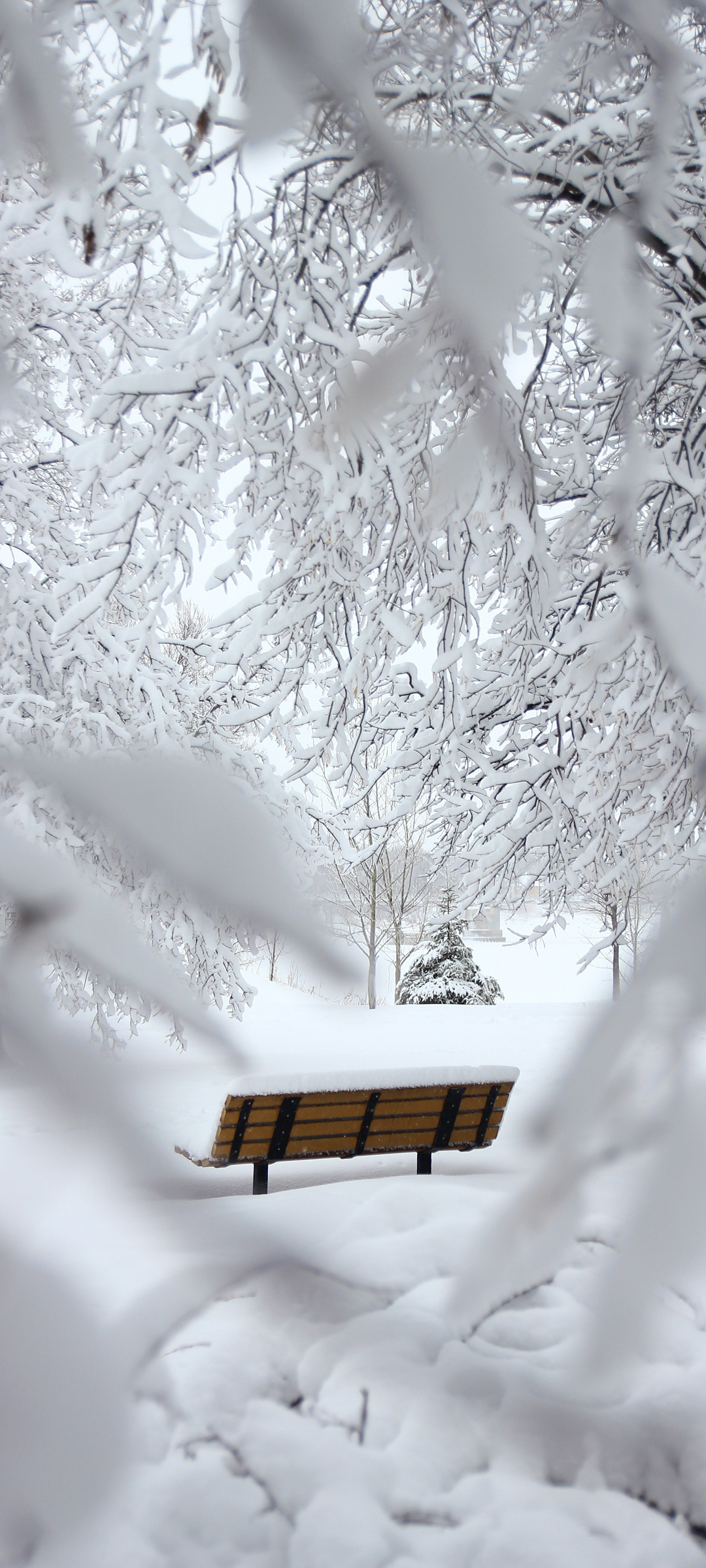 冬季雪景银装，手机壁纸免费下载，美景尽在掌握