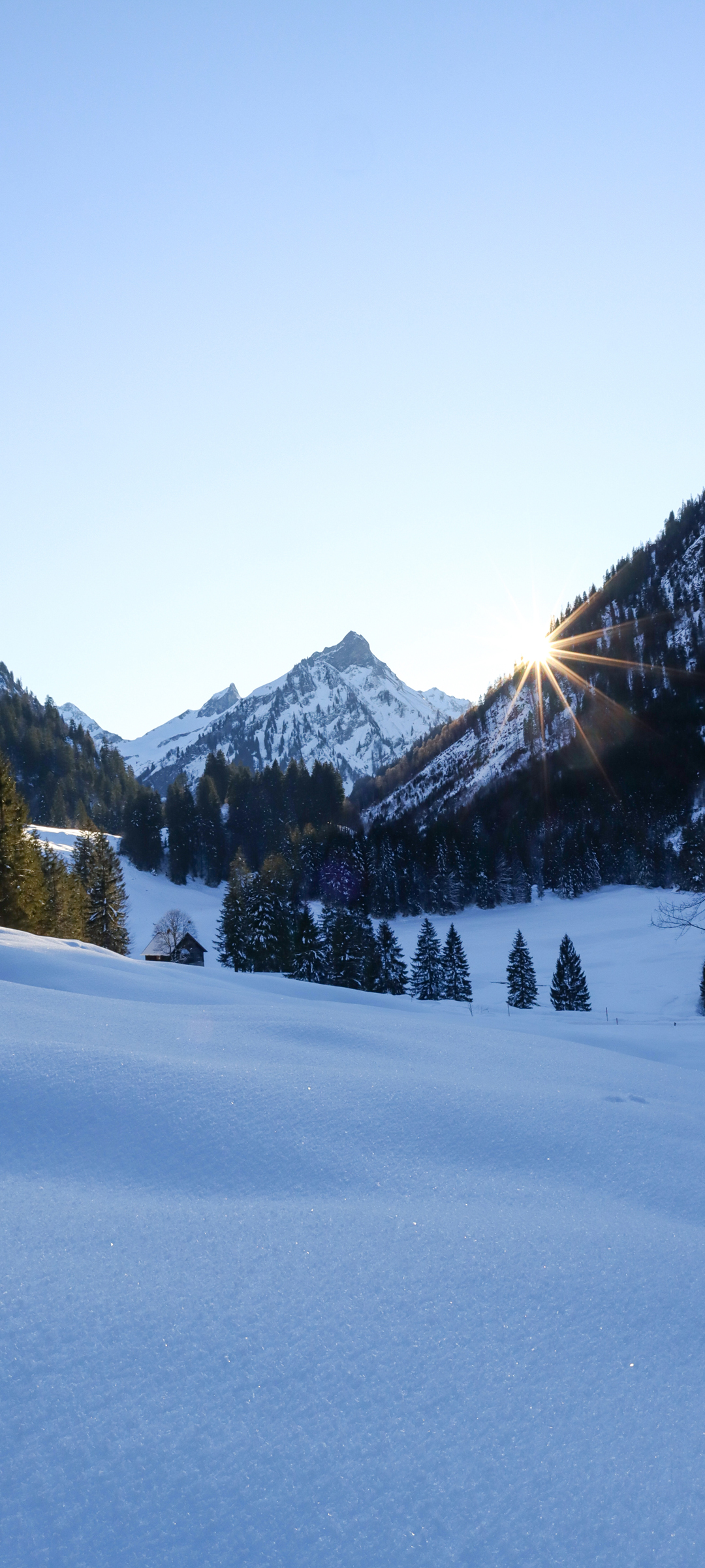 夏日雪山清凉景，绿树小房伴你行，免费手机壁纸下载