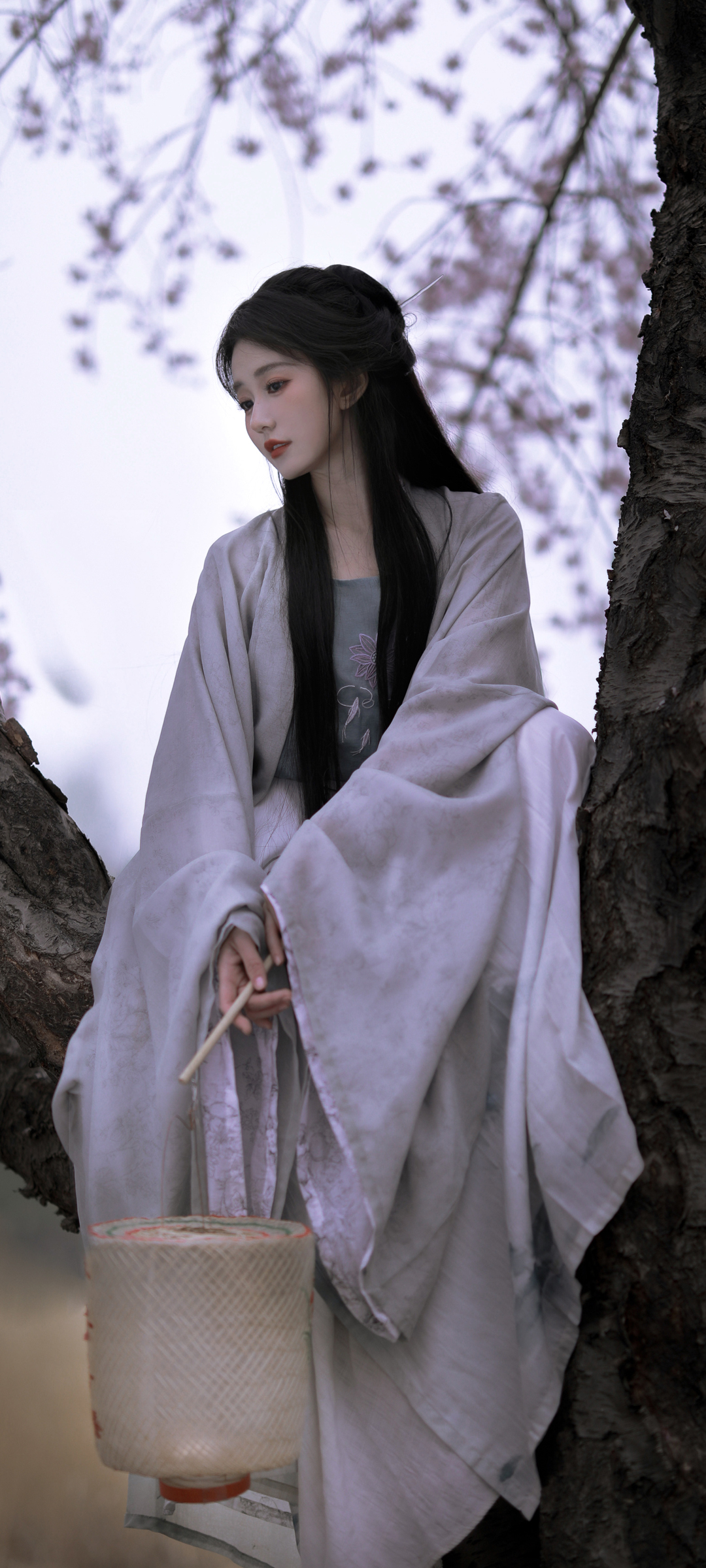 古风美女倚树而坐，高清手机壁纸，免费下载