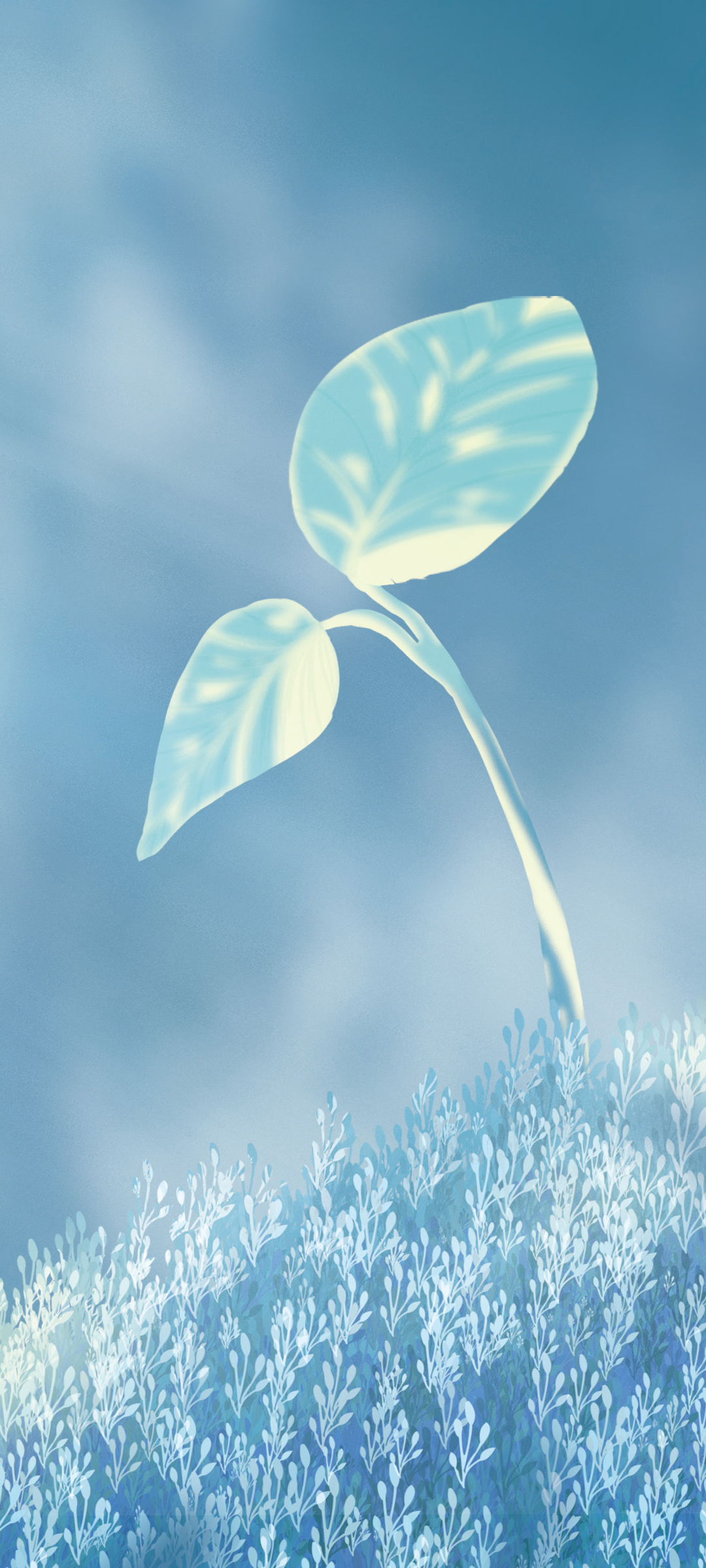原创小C佳作，向阳而生的小草动漫壁纸，唯美手机桌面背景，免费下载！