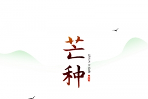 芒种二十四节气手绘稻草人麦子风车