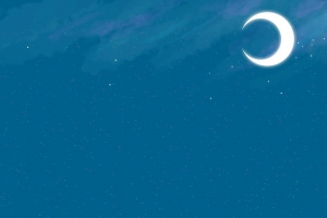 唯美仲夏夜之梦夜景PSD素材