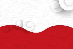梅花红白中国风banner