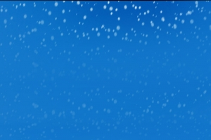 冬天雪松背景