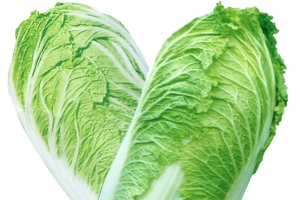 手绘蔬菜手绘图片 大白菜