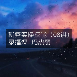 税务实操技巧08讲录播课程-玛热丽