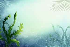 海底海藻