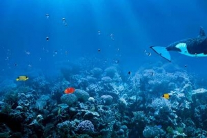 梦幻海底世界背景