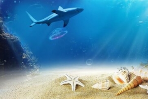 海底banner