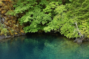 湖 泻湖 树木 风景 4k壁纸 3840x2160