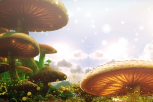梦幻大蘑菇宝宝相册海报背景模板