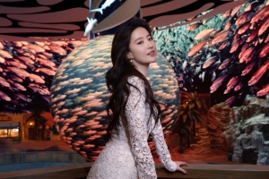 刘亦菲阿布扎比4K美女壁纸3840*2400