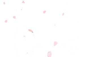 飘落的花瓣1