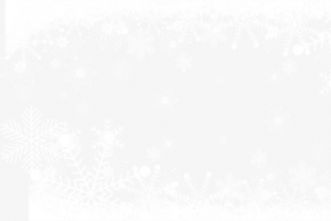 冬季白色雪花装饰