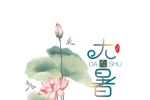 大暑手绘荷叶荷花元素