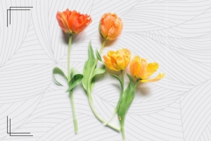 鲜花简约白色banner