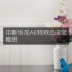 中影华龙AE特效合成精英全能课程