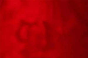 简约红色中国风冬至H5背景图