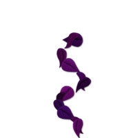 紫色花瓣波浪线