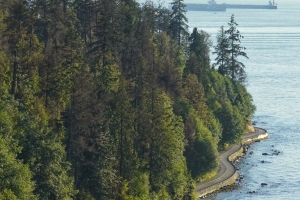 道路 路堤 树木 海洋 4k壁纸 3840x2160
