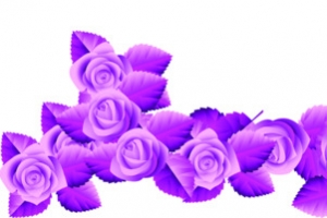 紫色花朵叶子边框素材