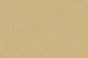 中国风古韵花卉banner