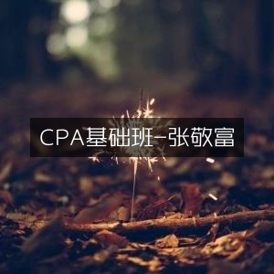 CPA入门课程-张敬富精讲班