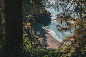 海滩 海岸 树木 岩石 风景 4k壁纸 3840x2160