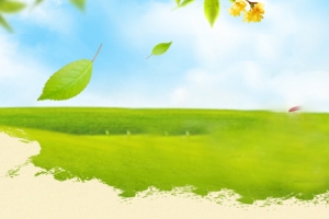秋天 落叶  草坪 背景banner