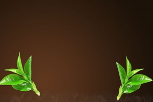 木板纹理茶叶主图背景