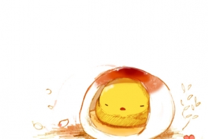 汤圆馅小鸡