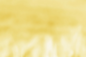 乡村田园麦子banner背景