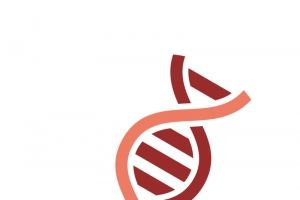 矢量DNA分子基因链手绘